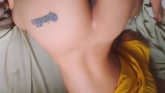 A Collection Of My Husband'S Favorite Pornstars In One Video